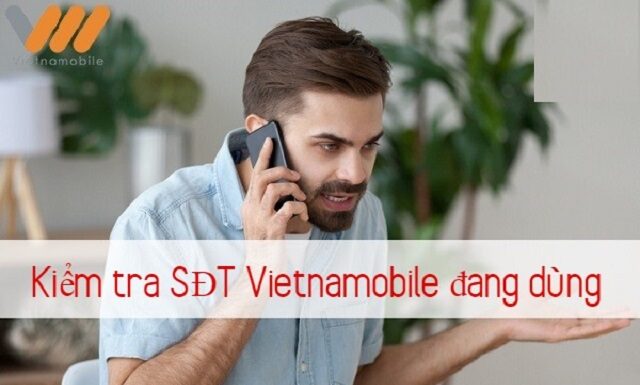 Bật mí 4 cách kiểm tra số điện thoại Vietnamobile đang sử dụng