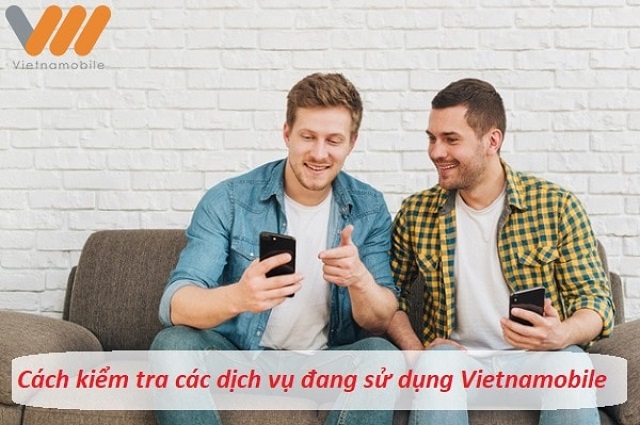 Cách kiểm tra dịch vụ Vietnamobile đang sử qua SMS